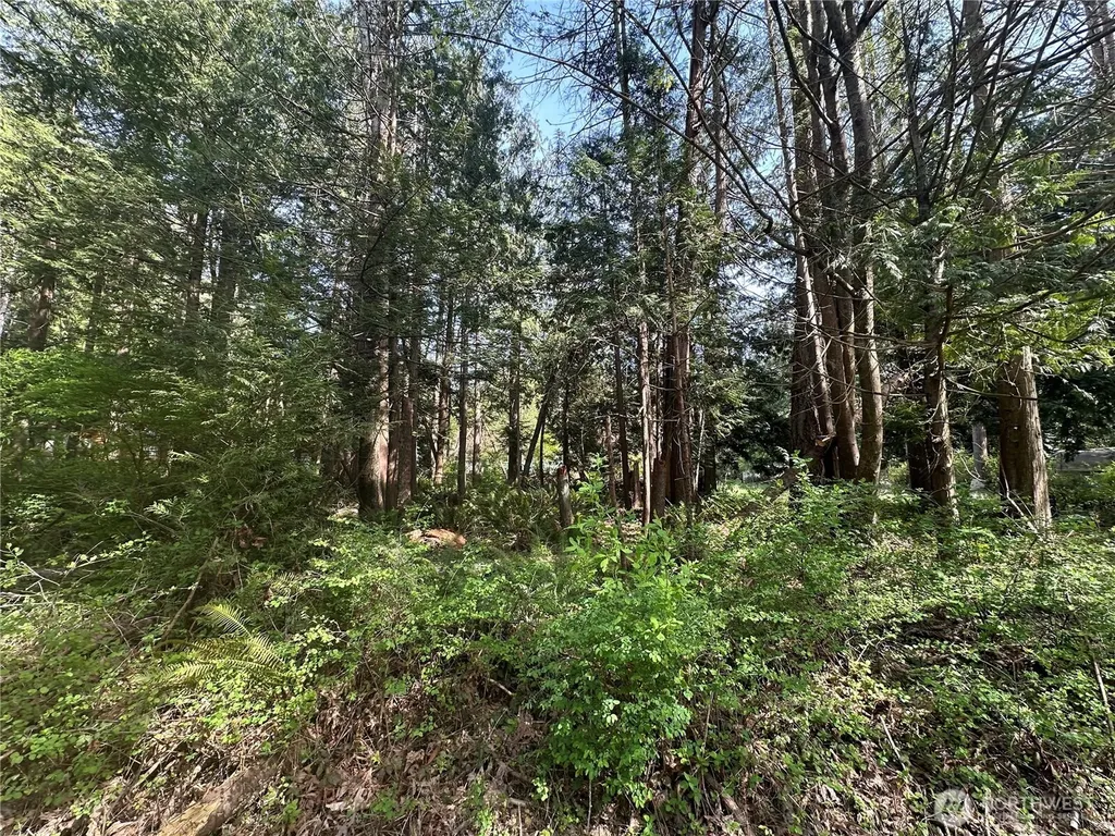 0 Lot 9 Tyee Drive Point Roberts WA 98281