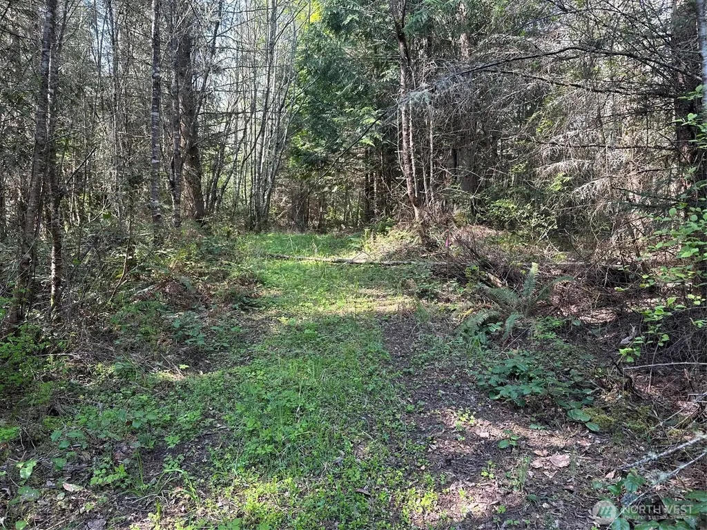 9999 Pristine Lane, Lot 1 Port Angeles WA 98362