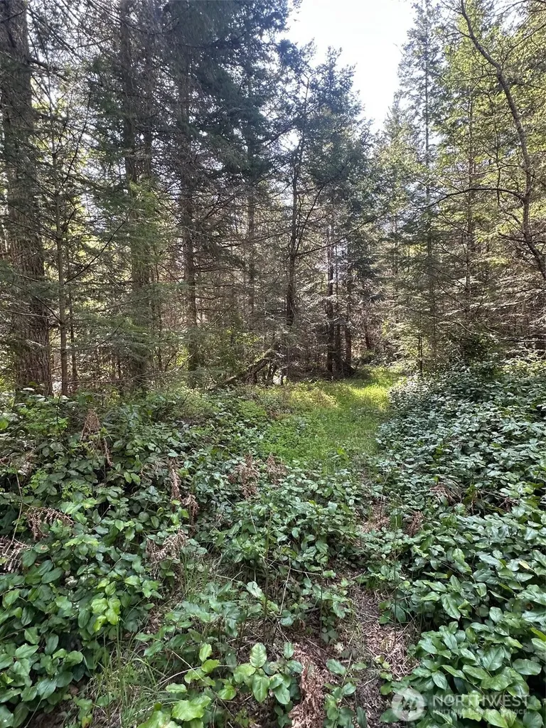 9999 Pristine Lane, Lot 1 Port Angeles WA 98362