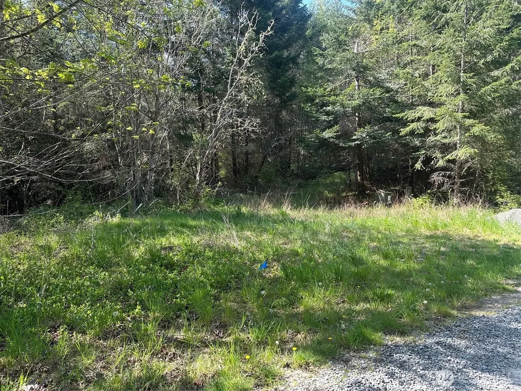 9999 Pristine Lane, Lot 3 Port Angeles WA 98362