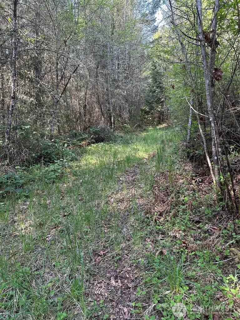 9999 Pristine Lane, Lot 3 Port Angeles WA 98362