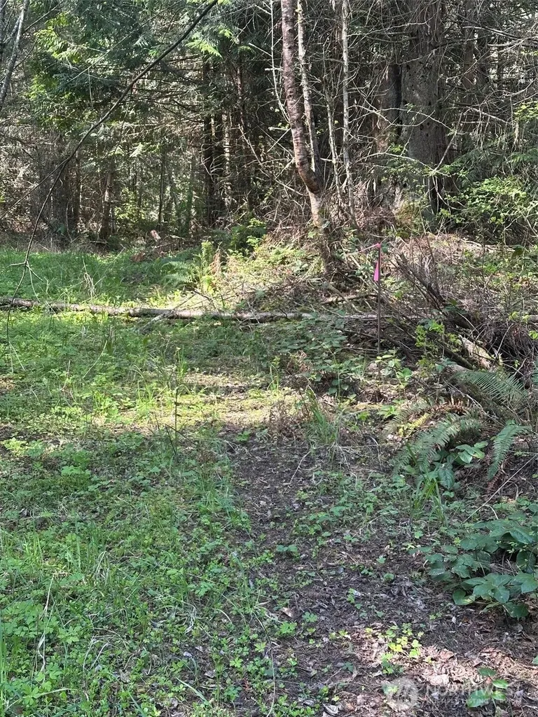 9999 Pristine Lane, Lot 3 Port Angeles WA 98362
