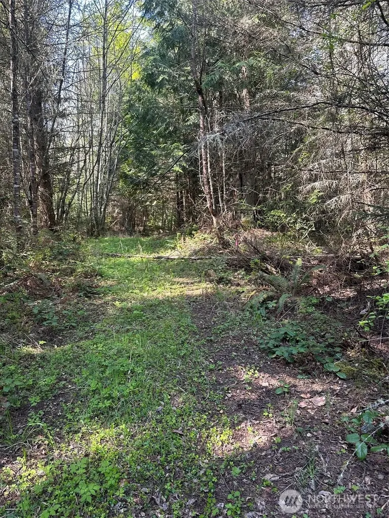 9999 Pristine Lane, Lot 3 Port Angeles WA 98362