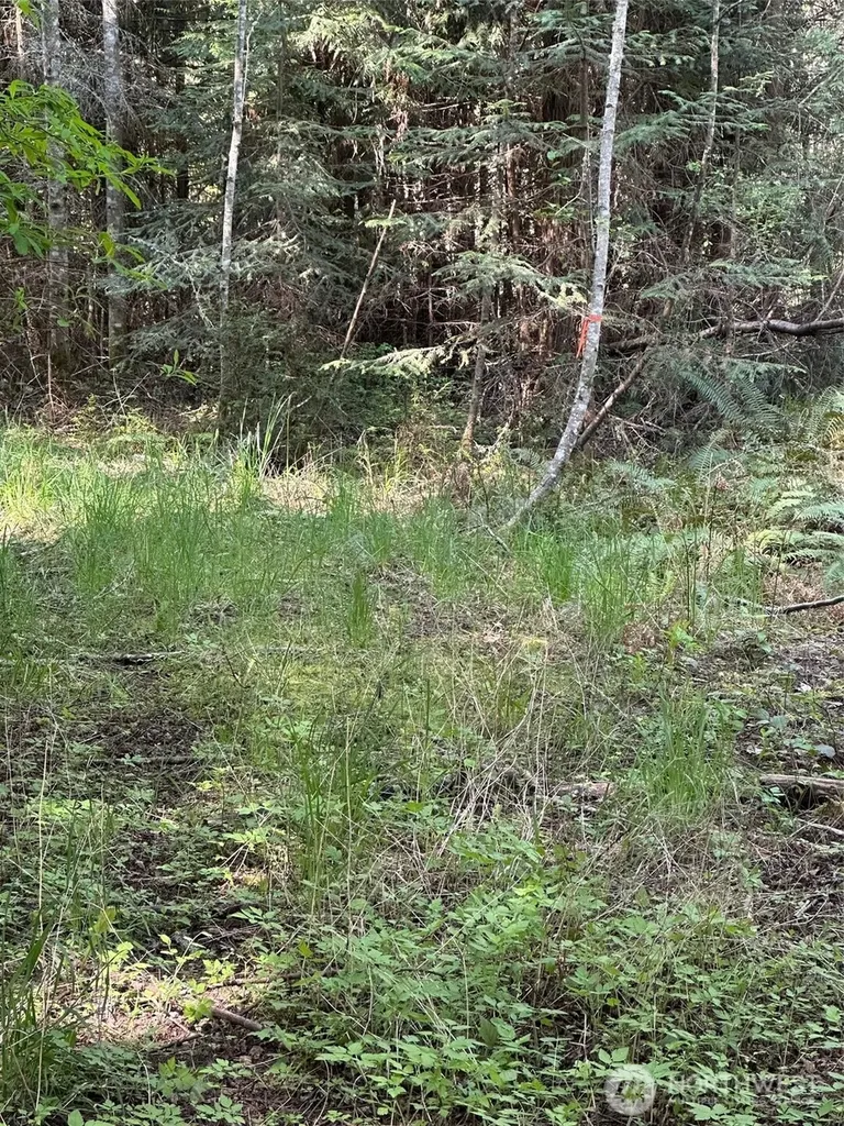 9999 Pristine Lane, Lot 3 Port Angeles WA 98362