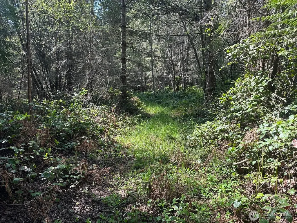 9999 Pristine Lane, Lot 3 Port Angeles WA 98362