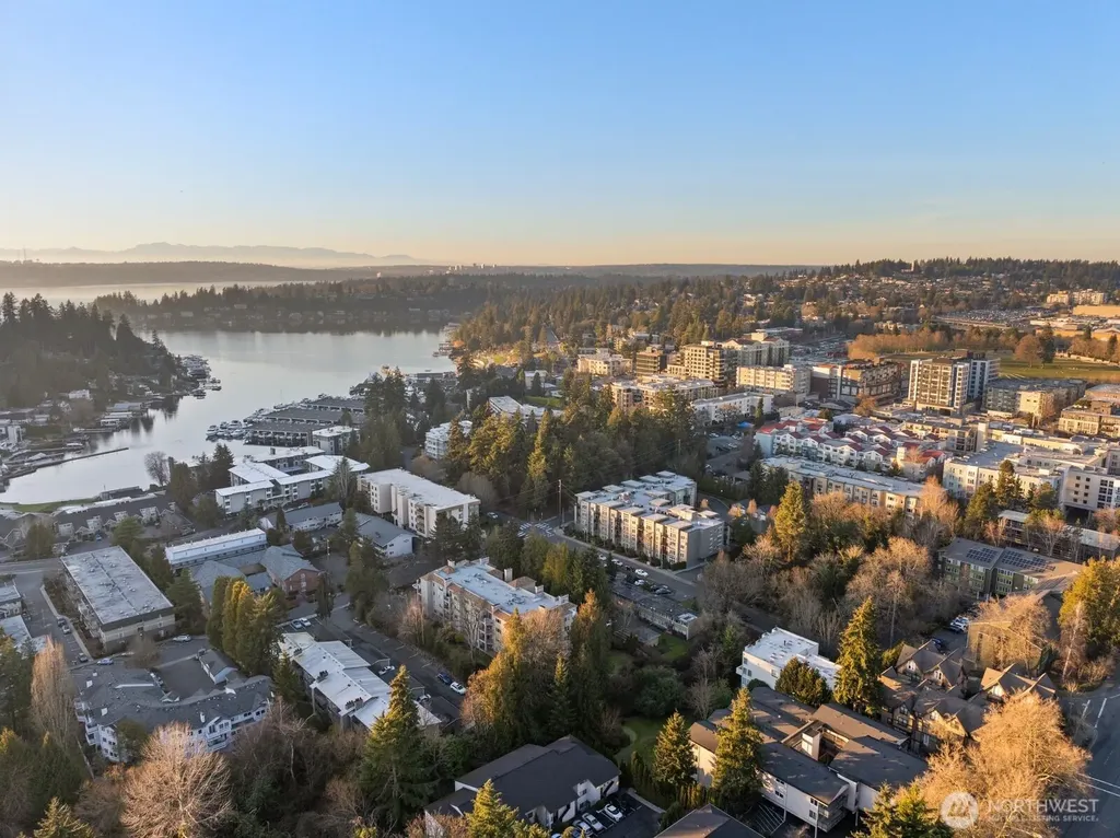 10237 SE 3rd Street Bellevue WA 98004