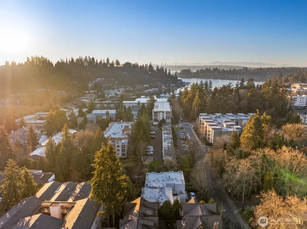 10237 SE 3rd Street Bellevue WA 98004
