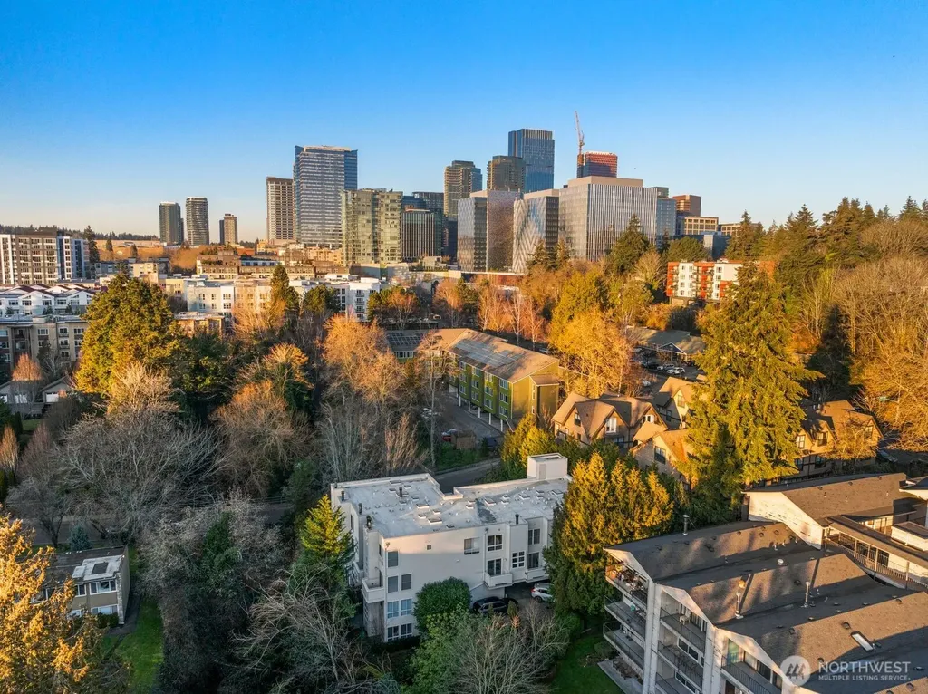 10237 SE 3rd Street Bellevue WA 98004