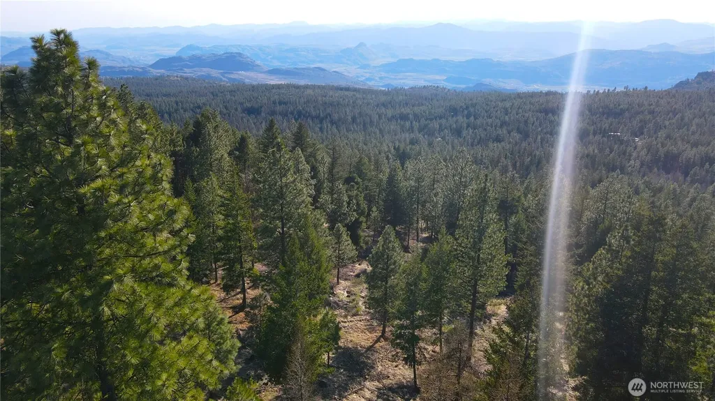 34 Morgan Mountain Trail Tonasket WA 98855