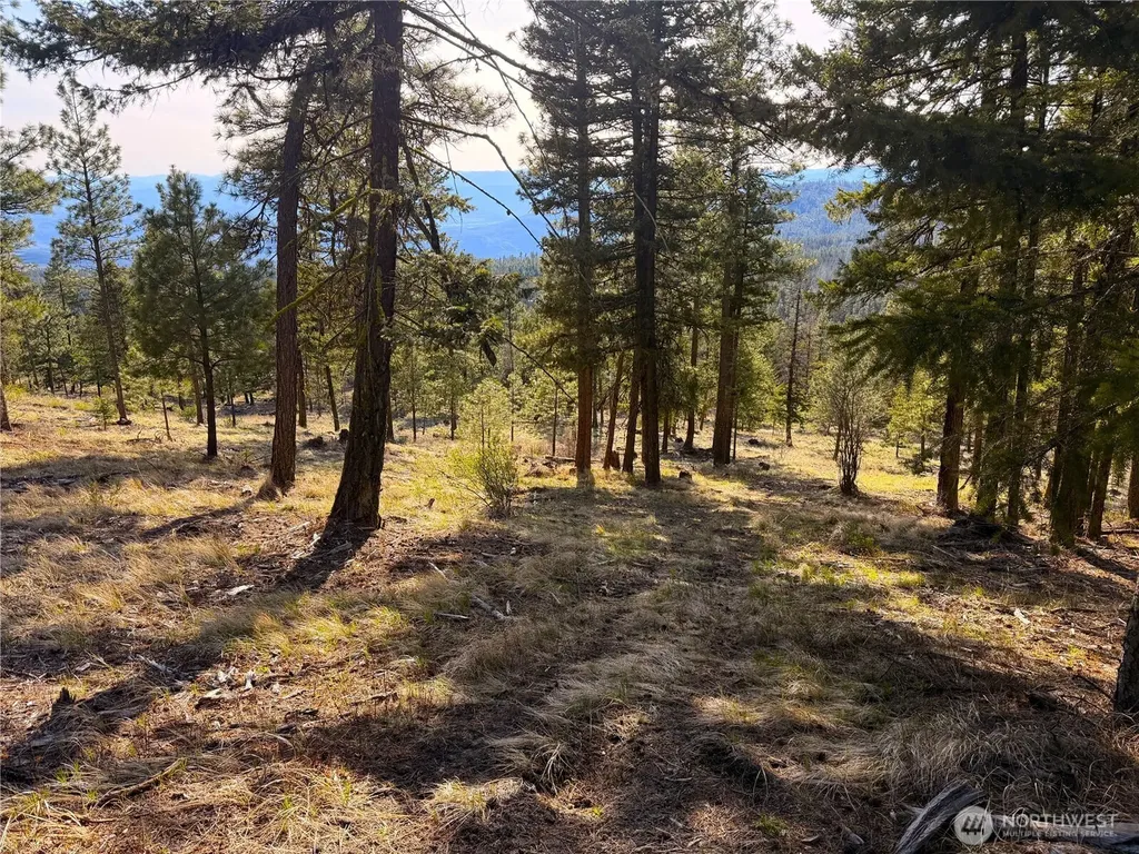 34 Morgan Mountain Trail Tonasket WA 98855