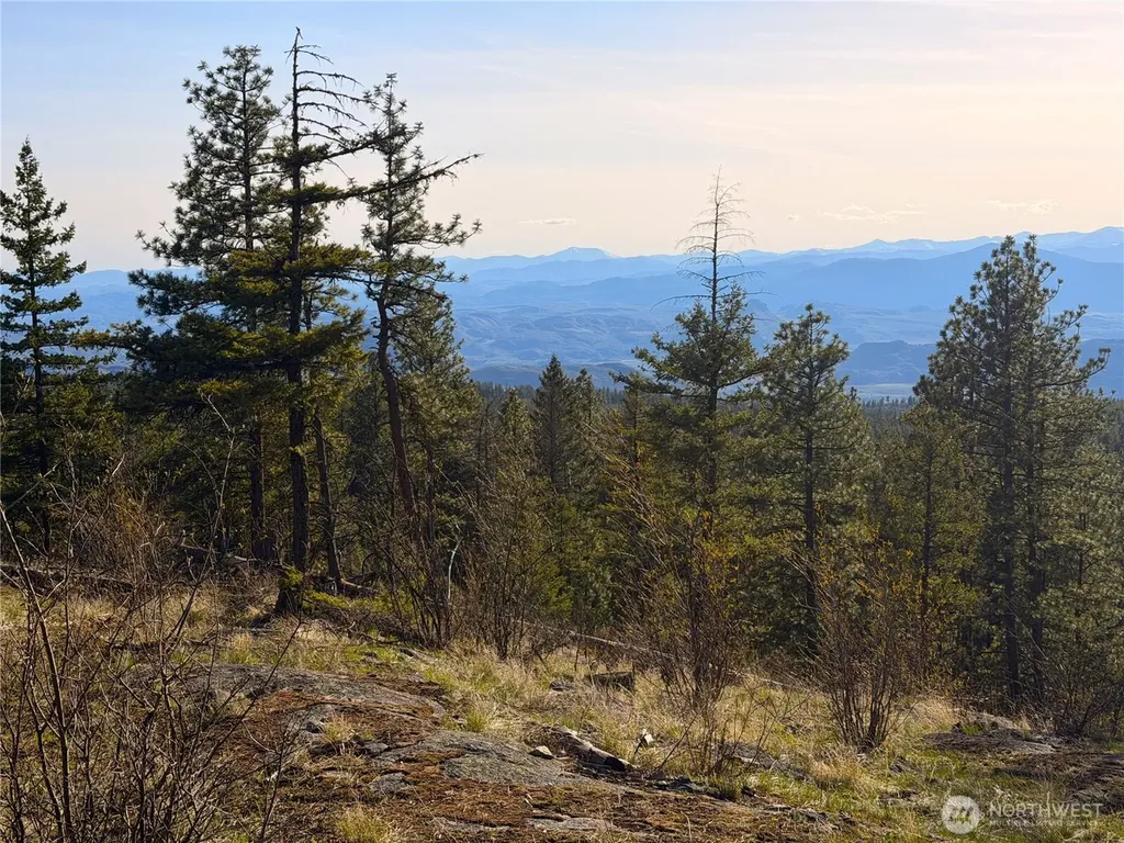 34 Morgan Mountain Trail Tonasket WA 98855