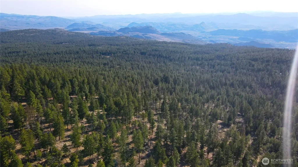 34 Morgan Mountain Trail Tonasket WA 98855