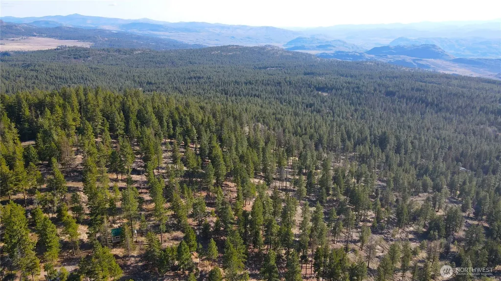 34 Morgan Mountain Trail Tonasket WA 98855