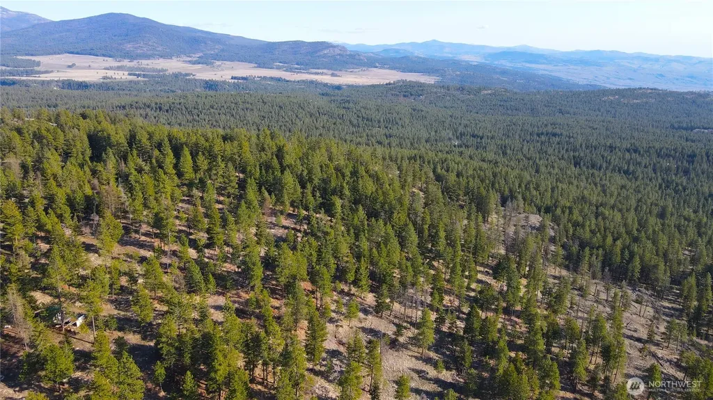 34 Morgan Mountain Trail Tonasket WA 98855