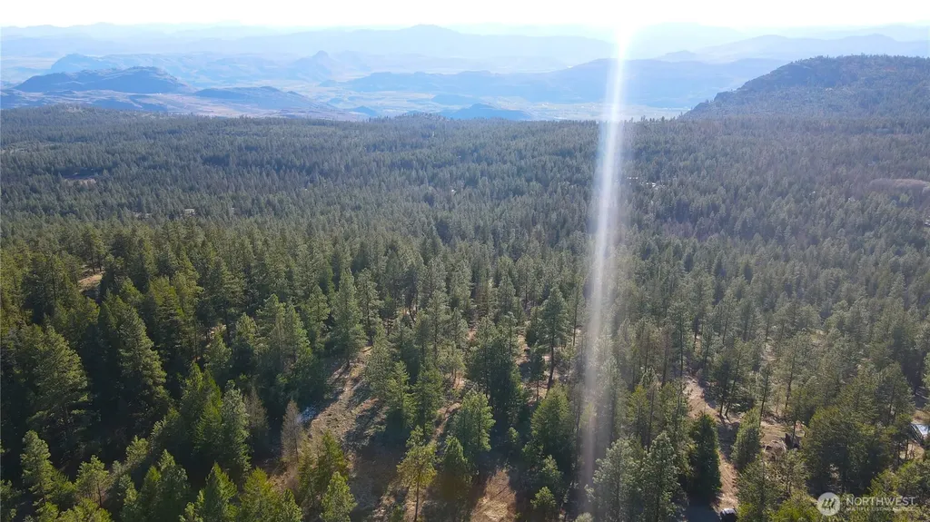 34 Morgan Mountain Trail Tonasket WA 98855