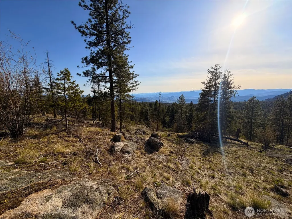 34 Morgan Mountain Trail Tonasket WA 98855
