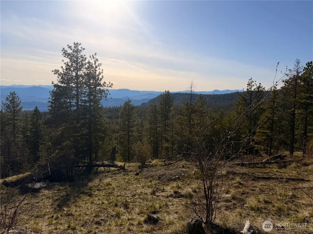 34 Morgan Mountain Trail Tonasket WA 98855