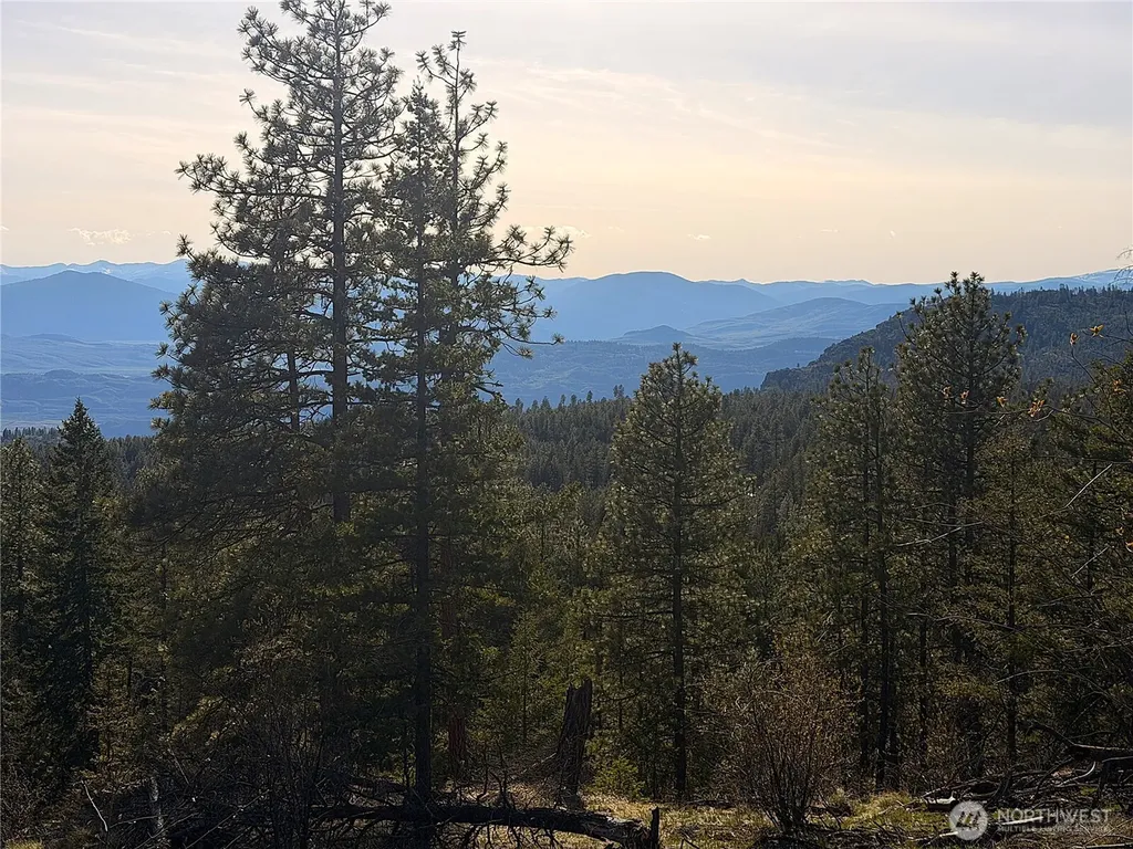 34 Morgan Mountain Trail Tonasket WA 98855