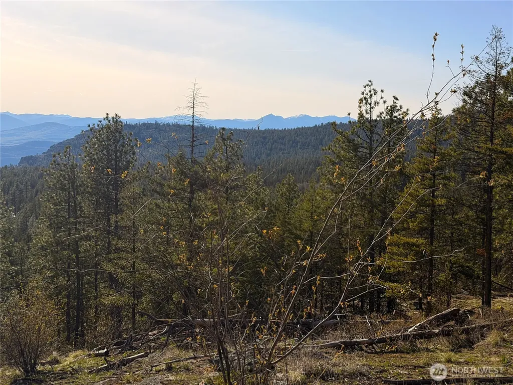 34 Morgan Mountain Trail Tonasket WA 98855