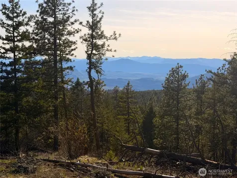 34 Morgan Mountain Trail Tonasket WA 98855
