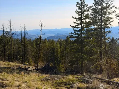 34 Morgan Mountain Trail Tonasket WA 98855