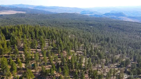 34 Morgan Mountain Trail Tonasket WA 98855