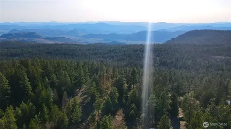 34 Morgan Mountain Trail Tonasket WA 98855