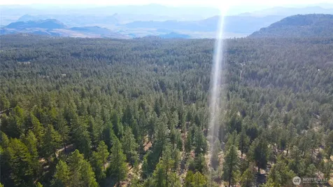 34 Morgan Mountain Trail Tonasket WA 98855