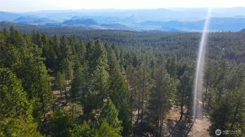 34 Morgan Mountain Trail Tonasket WA 98855