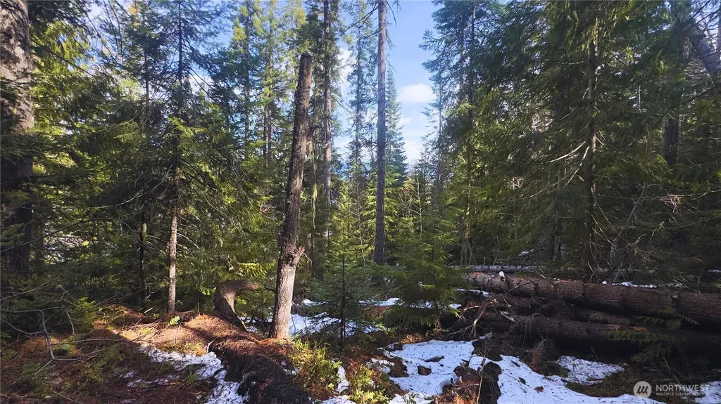 15839 Cedar Brae Road Leavenworth WA 98826