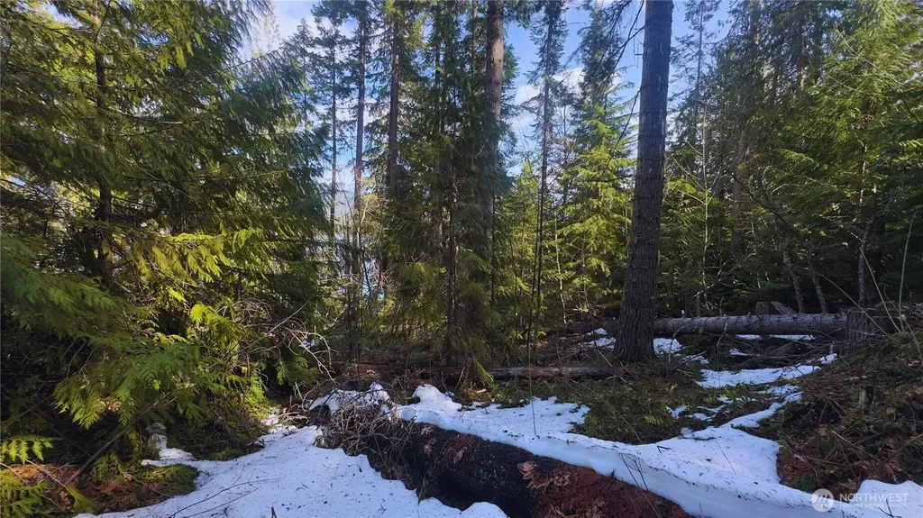 15839 Cedar Brae Road Leavenworth WA 98826
