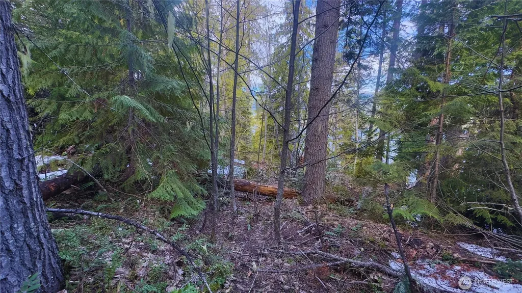 15839 Cedar Brae Road Leavenworth WA 98826