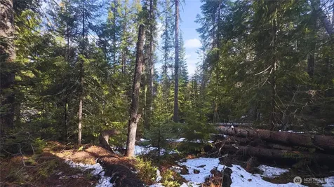 15839 Cedar Brae Road Leavenworth WA 98826