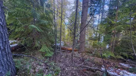15839 Cedar Brae Road Leavenworth WA 98826
