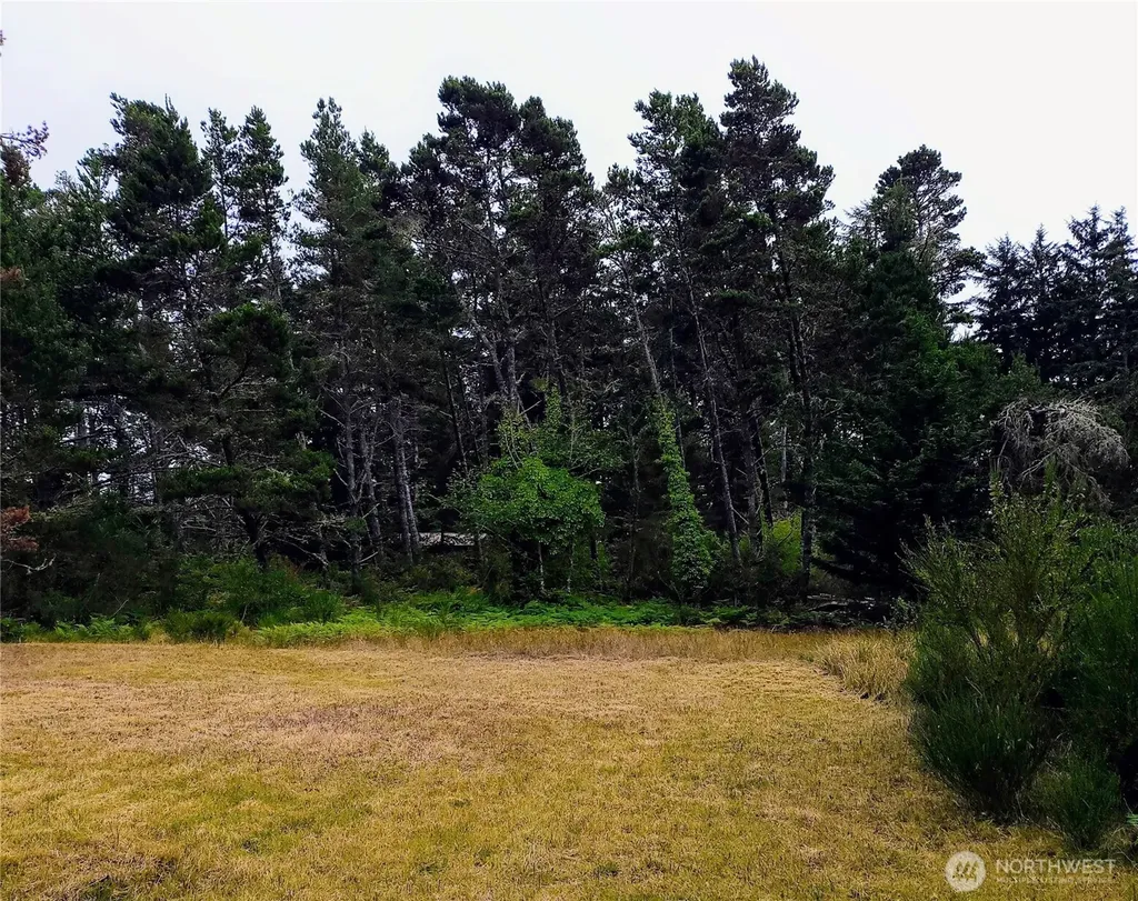 715 S Forrest Street Westport WA 98595