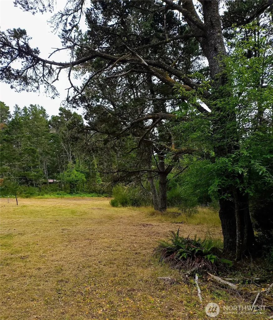 715 S Forrest Street Westport WA 98595