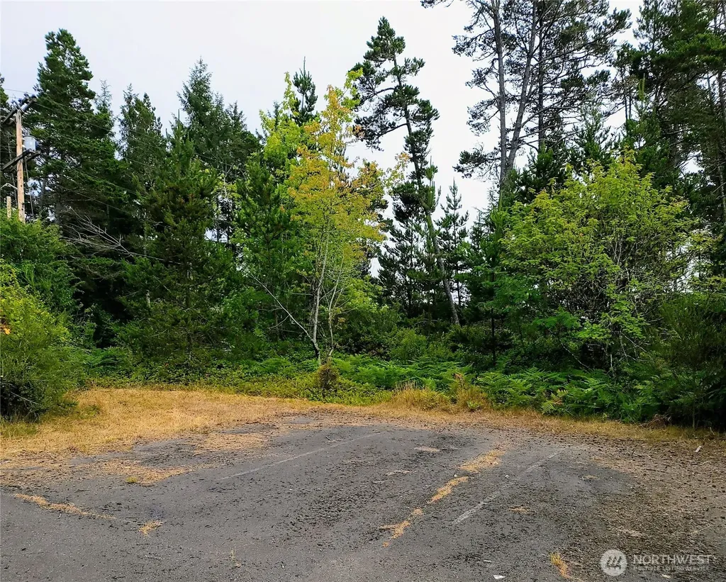 715 S Forrest Street Westport WA 98595