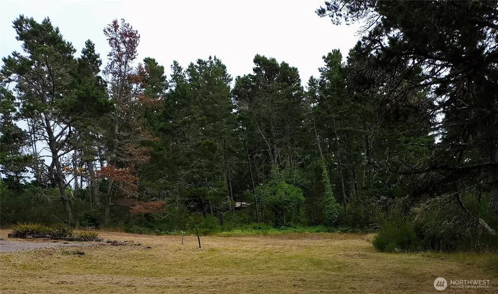 715 S Forrest Street Westport WA 98595