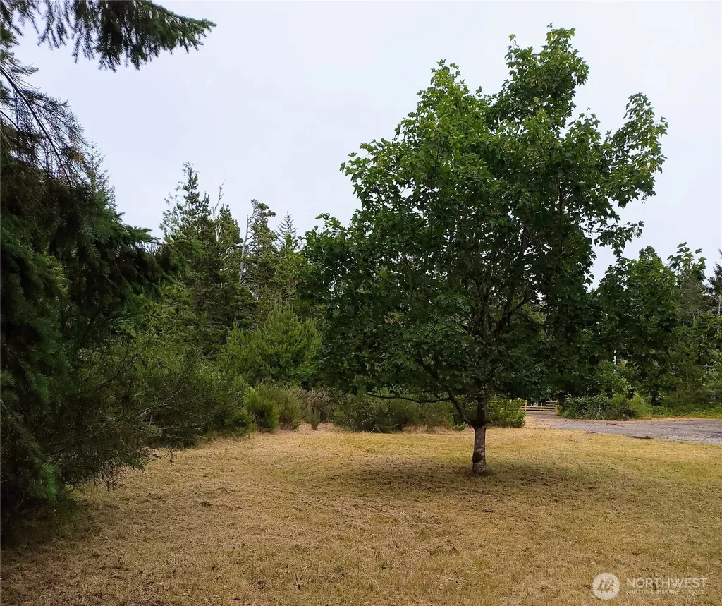 715 S Forrest Street Westport WA 98595