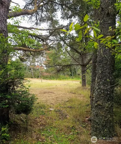 715 S Forrest Street Westport WA 98595