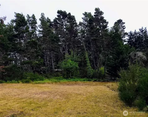 715 S Forrest Street Westport WA 98595