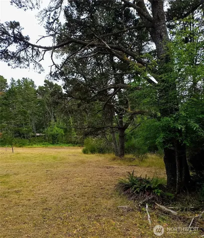 715 S Forrest Street Westport WA 98595
