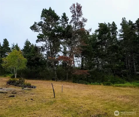 715 S Forrest Street Westport WA 98595