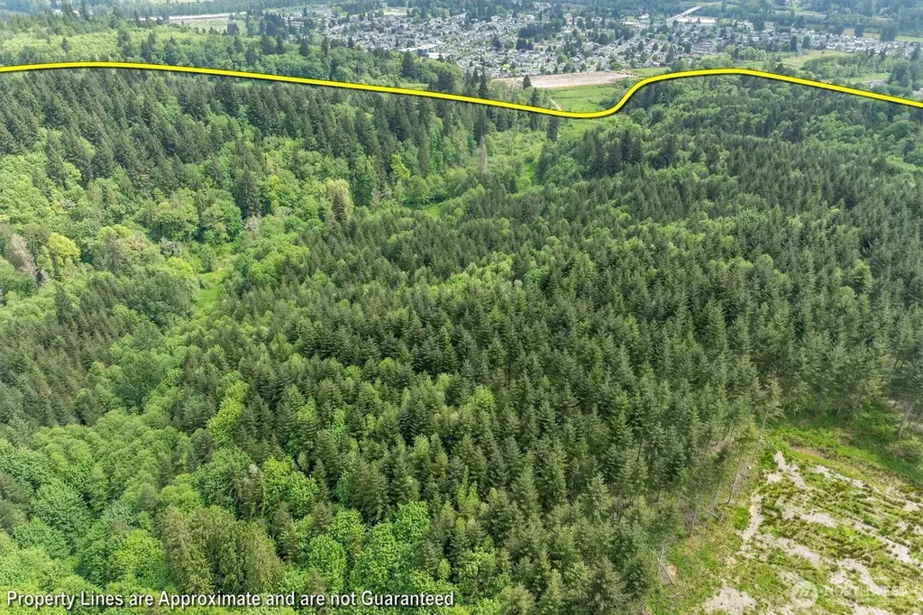 145 Talkeetna Hts Place Longview WA 98632