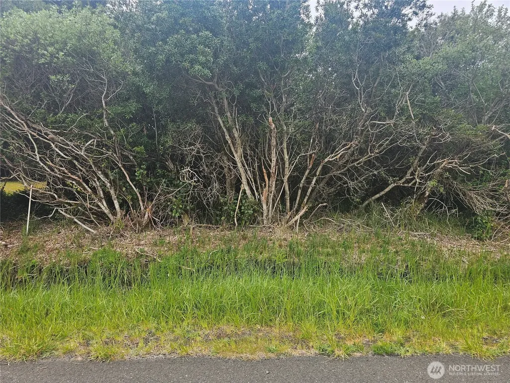 1051 Fairwood Drive SW Ocean Shores WA 98569