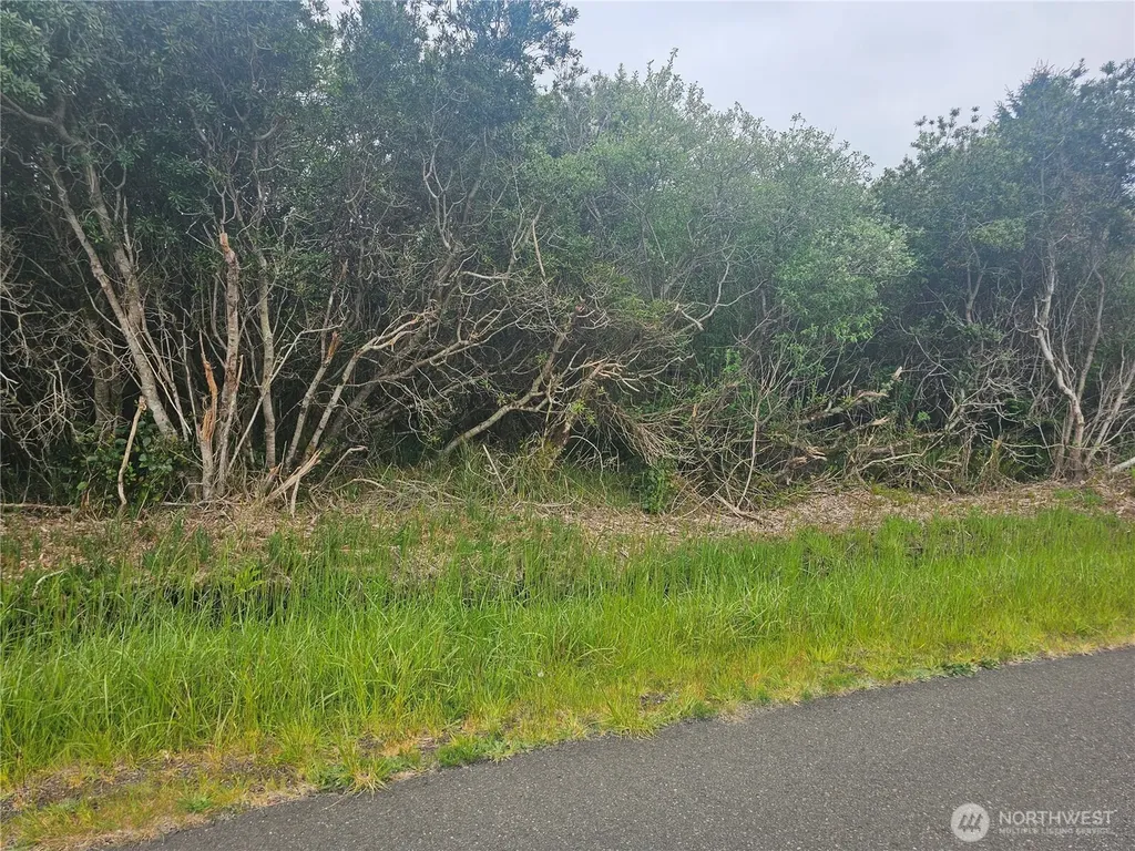 1051 Fairwood Drive SW Ocean Shores WA 98569