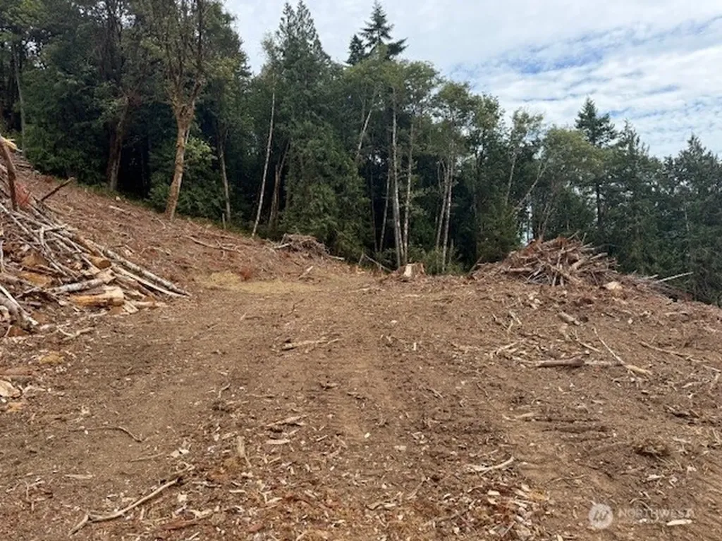 0 Garrard Creek Road Oakville WA 98568