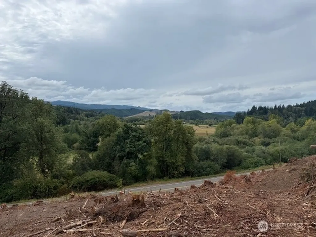 0 Garrard Creek Road Oakville WA 98568