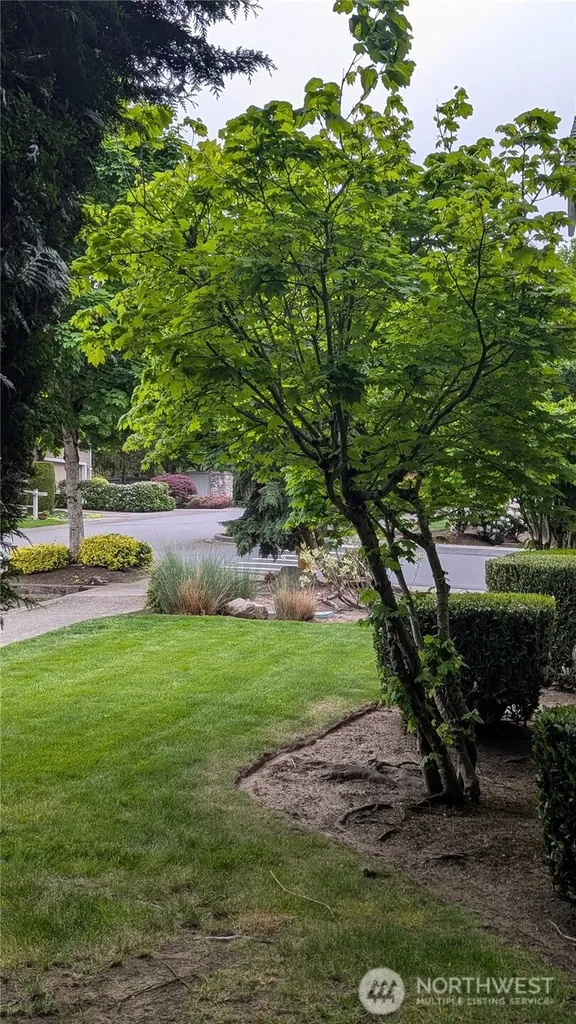 2733 143rd Street SW Lynnwood WA 98087