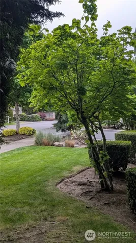 2733 143rd Street SW Lynnwood WA 98087